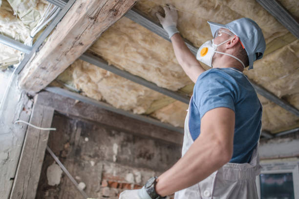 Best Residential Insulation in Nanakuli, HI